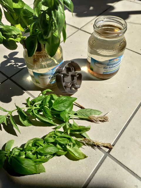 Jam Jar Hydroponic Planter (3)