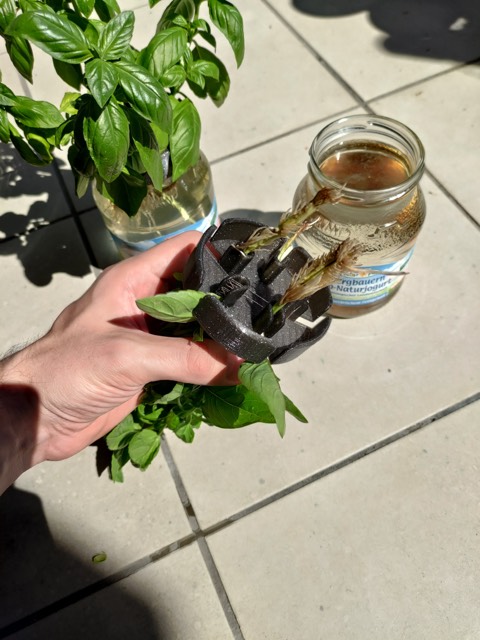 Jam Jar Hydroponic Planter (6)